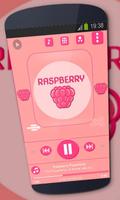 پوستر Raspberry Music Player Skin