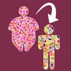 Weight Loss আইকন