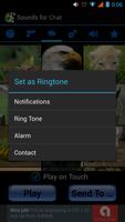 Suara untuk chatting screenshot 3