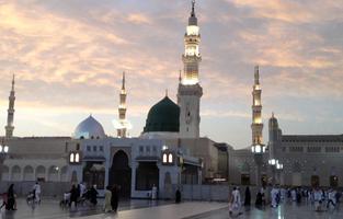 Madina Live Wallpaper plakat