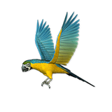 Birds LiveWallpaper icono