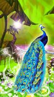 Peacock LiveWallpaper syot layar 2