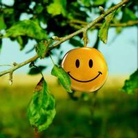 Smiley Pro Live Wallpaper पोस्टर