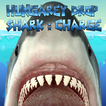 Hungarey Drop Shark : Charge