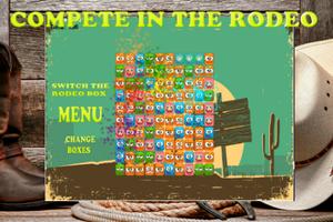 Switch The Rodeo Box Plakat