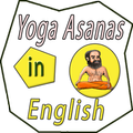 Baba Ramdev Yoga