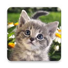 99 Kittens - Puzzle آئیکن