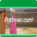 Pothwar.com icono