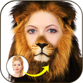 Animal Face Morphing Stickers