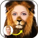 Animal Face Morphing Stickers APK