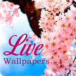 Sakura Blossom Fall Pink Cute Live Wallpaper APK