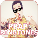 PPAP Ringtones Offline aplikacja