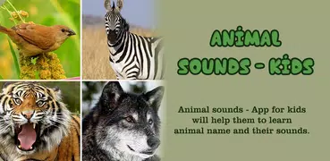 Real Animal Sounds