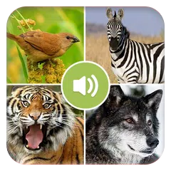 Real Animal Sounds アプリダウンロード