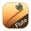 Real Flute ( Bansuri )