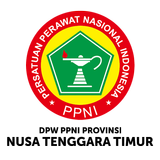 DPW PPNI Prop NTT-icoon