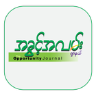 The Opportunity Journal icône