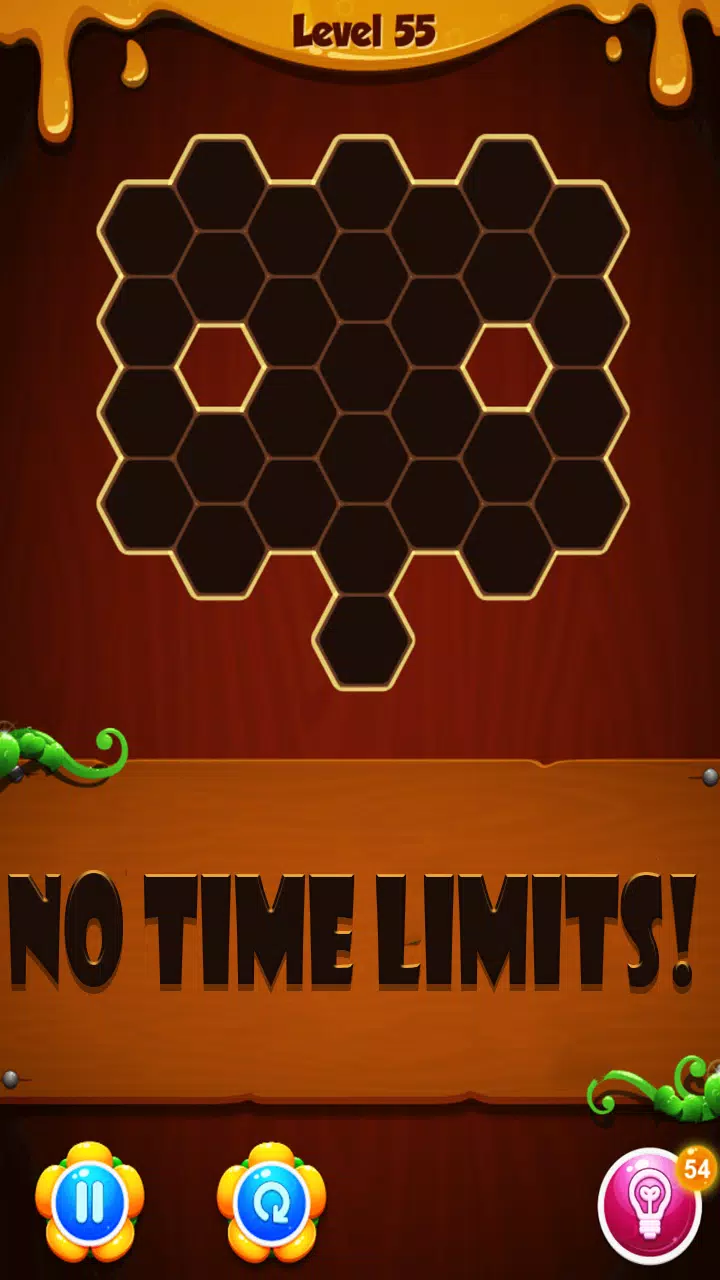 Hexa Block Puzzle Screenshots