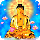 Buddha Wallpaper-APK