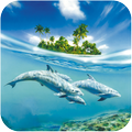 Dolphin Wallpaper