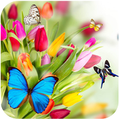 Spring Flower Wallpaper icon