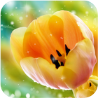 Tulip Wallpaper simgesi