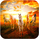 Horse Wallpaper APK