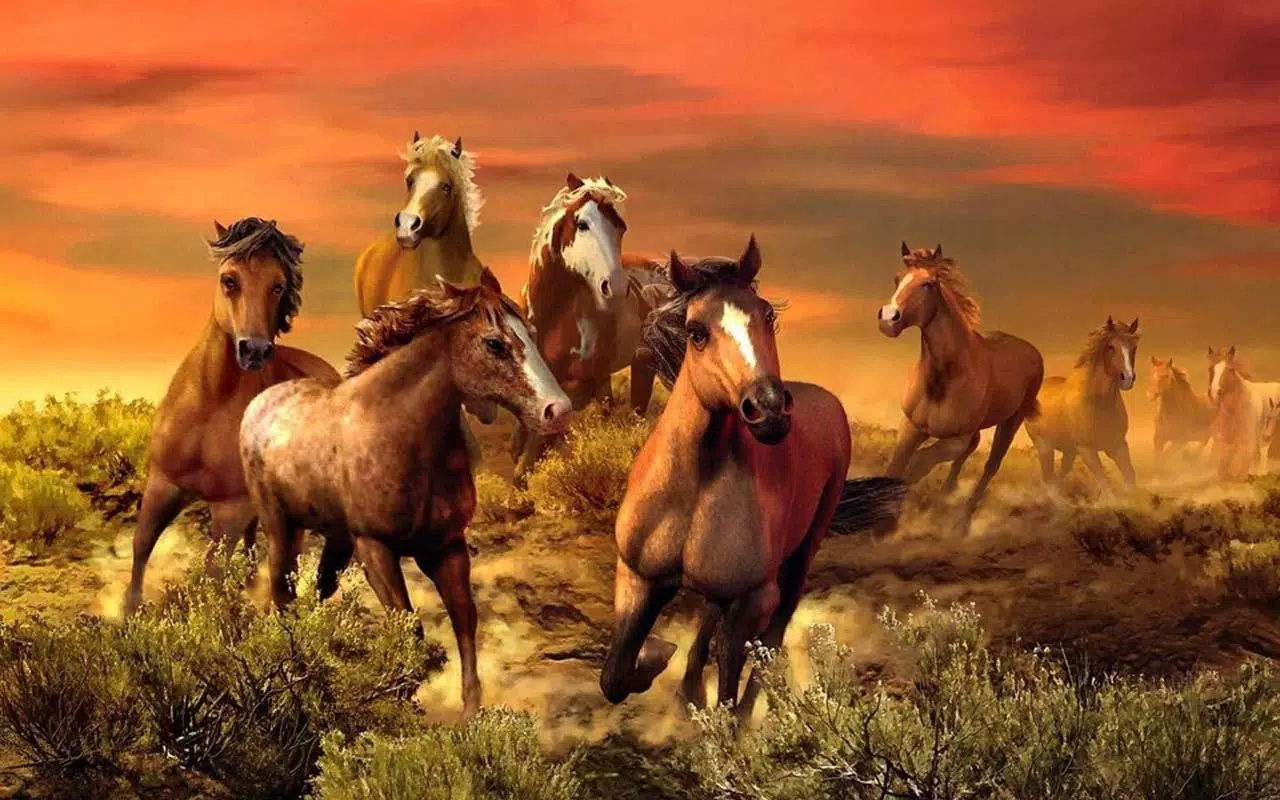Horse Wallpaper APK for Android Download