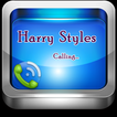 Harry Styles prank call