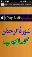 Holy Quran Audio Mp3 M Ayub Screenshot 3