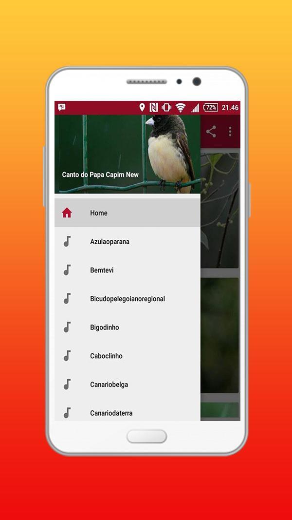 canto do passaro papa capim APK for Android Download