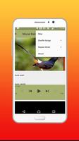 Kicau Burung Murai Batu screenshot 3