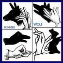 DIY How To Make Puppets Hand Shadow Ideas Tutorial APK