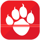 Animal Detector Prank icono