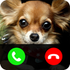 Fake call from dog APK