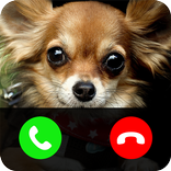 Fake call from dog