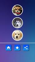 3 Schermata Fake call from dog
