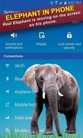 Elephant In Phone Prank Affiche