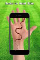 Snake in Hand : Snake on Screen Funny Affiche