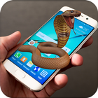 Snake on Mobile Screen Prank আইকন