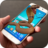 Snake on Mobile Screen Prank آئیکن