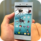 Spider on Mobile Screen Joke icône