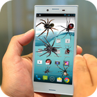 Spider on Mobile Screen Joke ikona