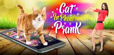 Cat in Phone Prank