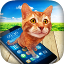 Cat in Phone Prank APK