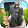 ”Gorilla in Phone Prank