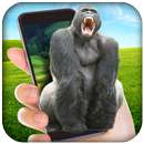 Gorilla in Phone Prank APK