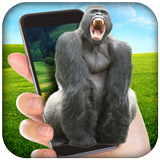 Gorilla in Phone Prank ไอคอน