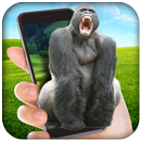 Gorilla in Phone Prank aplikacja