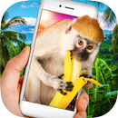 Monkey in Phone Prank APK